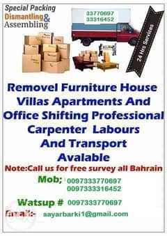 Professional moving services of house, villas, office 0