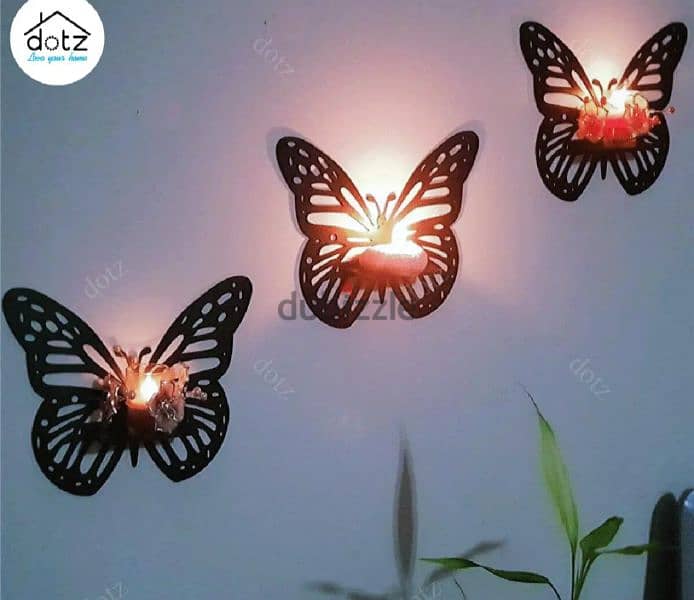 beautiful butterfly shelves. . . 2