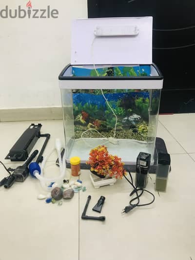 Fish Tank & LED Light