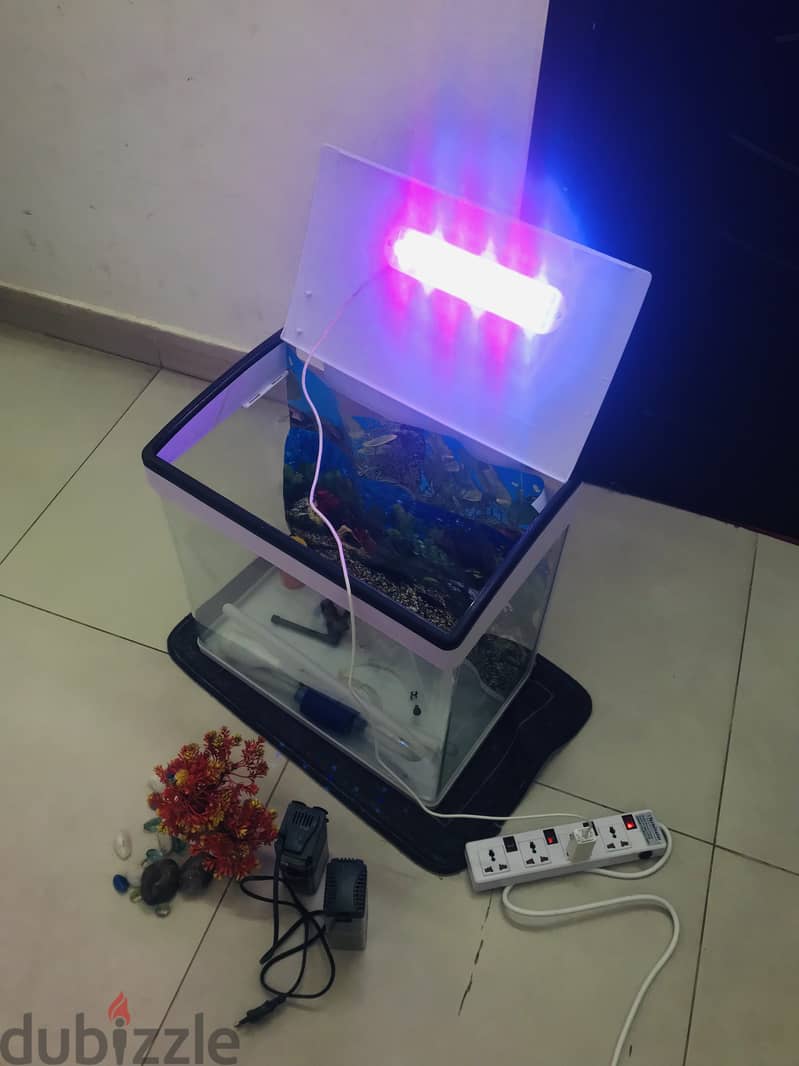 Fish Tank & LED Light 6