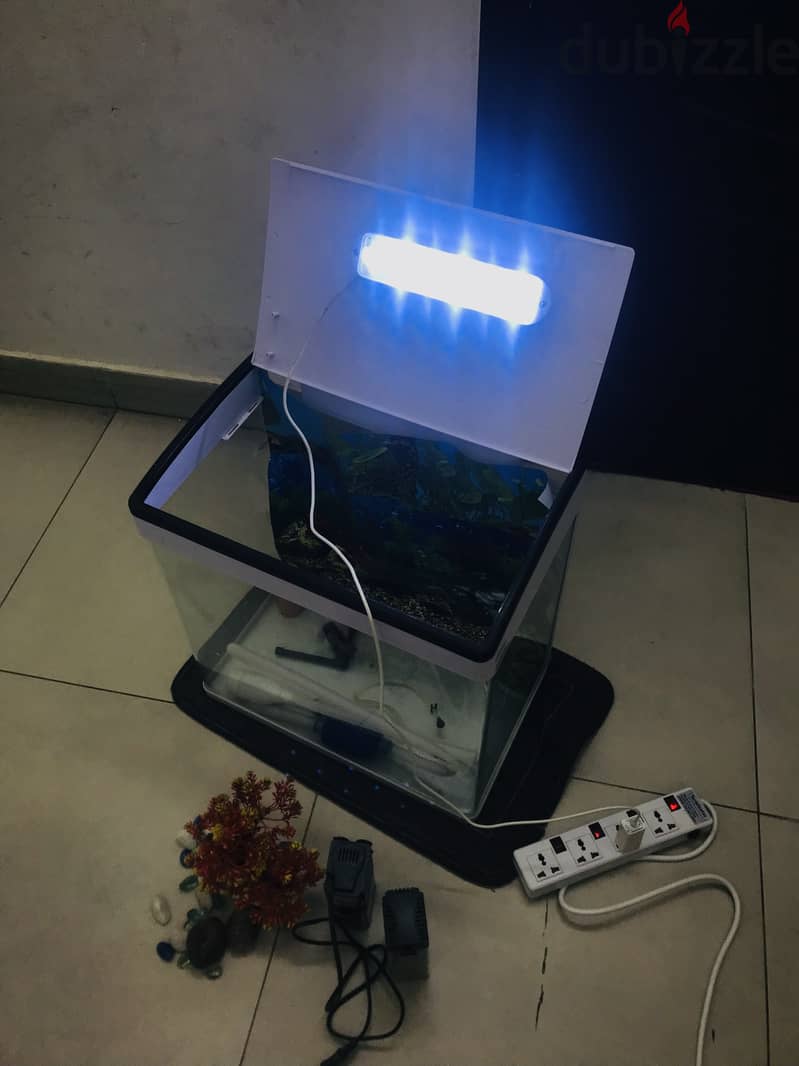 Fish Tank & LED Light 7