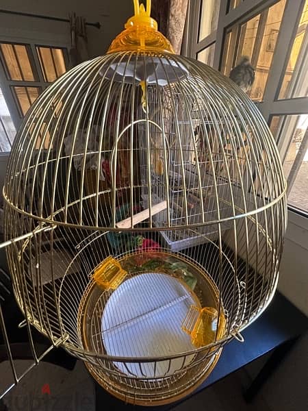beautiful golden birds cage for sale 1