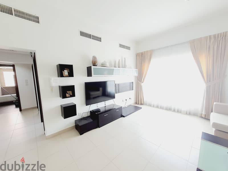 Spacious Furnished 2Bedroom Apartment 2
