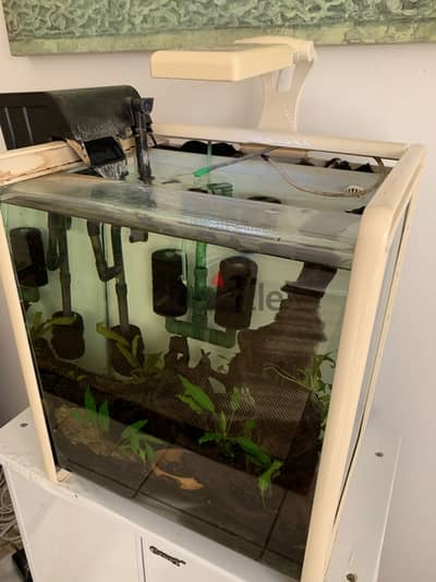 Aquarium Tank For Sale