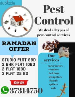 pest control big offer full flat and villa only 10bd call 37314750