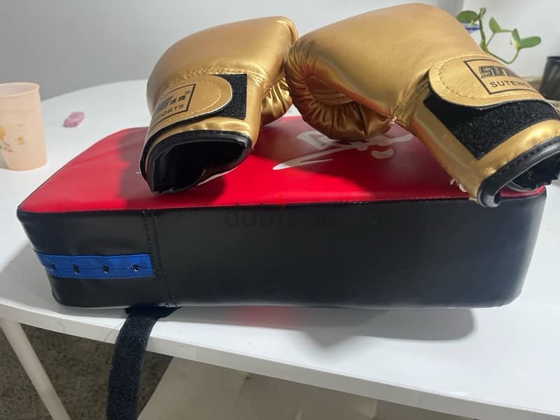 boxing gloves size 7 for children and pad 1