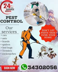 pest control service only 9 BD WhatsApp 34302056