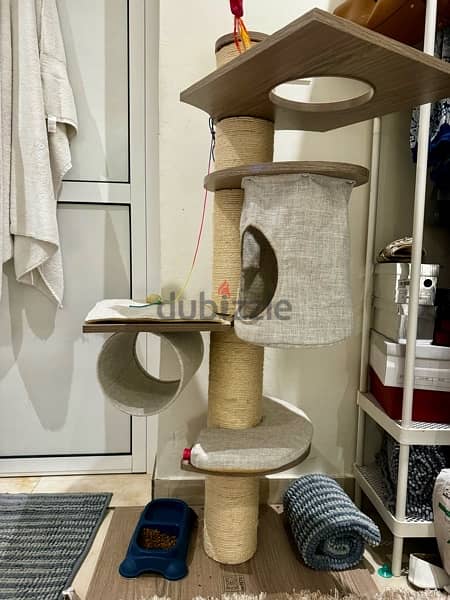 Cat house for sale 1