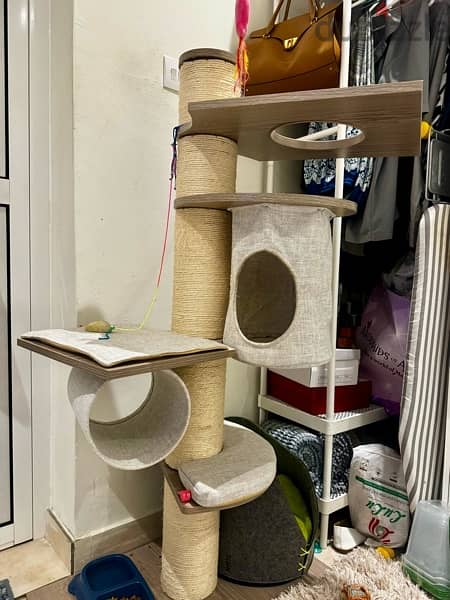 Cat house for sale 2
