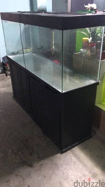 150L  50H X 45W fish Aquarium for sale 4