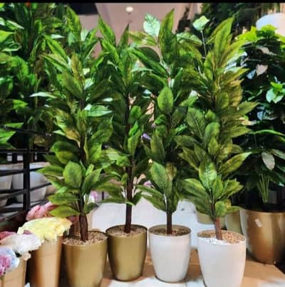Artificial Plant