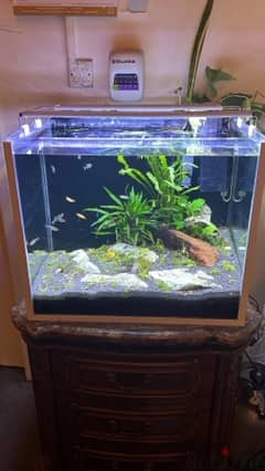 marine/ freshwater aqarium 60”cm (backside sump filter )150 litter