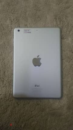 iPad mini 2 0