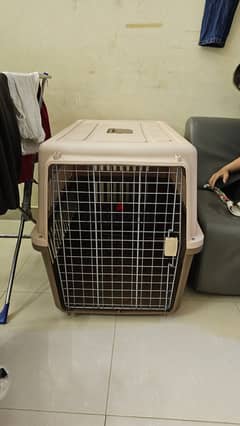 Big Dog Cage for sale