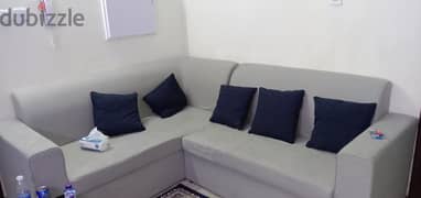 4 Sale 2 Couch + Land couch