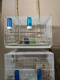cage with nest box 3 bd