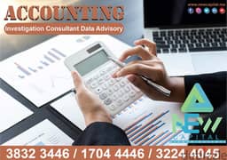 Investigation Accounting Consultant Data