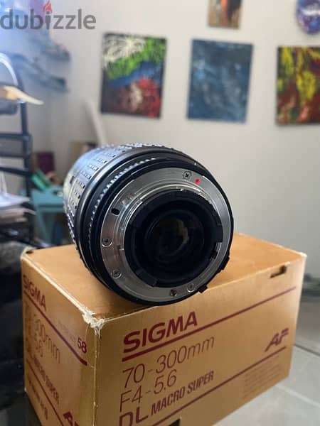 sigma (70-300mm) DL Macro Super 2