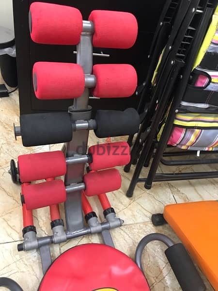 total ab core twister 2