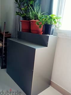 interior Plants with rack stand