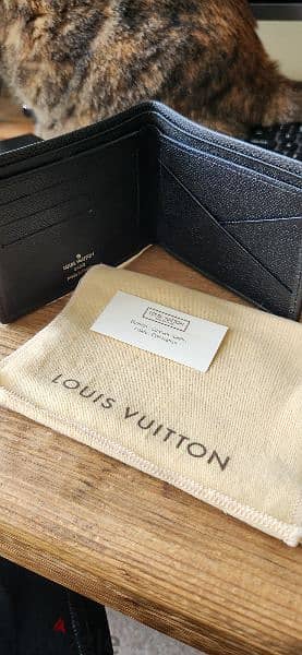 Louis Vuitton Men's wallet 1