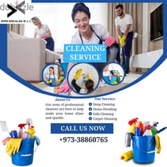 Professional House/Villa/Flat/Offices General/Deep Cleaning Services