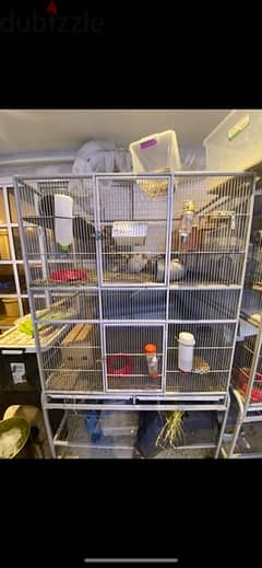 large cage used few days only