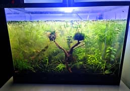 Fish Tank,Aquarium,Soil,Stones,Filter,Light 0