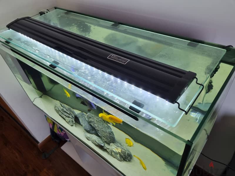200L All-Glass Fish Tank with Stand and cover - Filter, Lights, heater 1