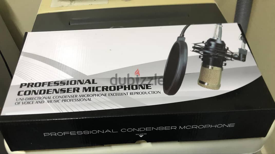 Microphone Condenser 1