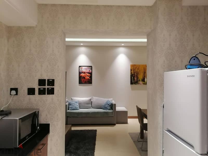 An astonishing fully furnished 1-bedroom large size flat for rent 7