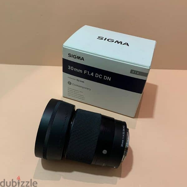 SONY a6300 + SIGMA 30mm lens 5