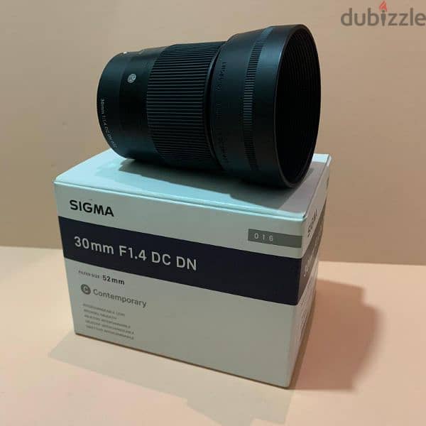 SONY a6300 + SIGMA 30mm lens 9