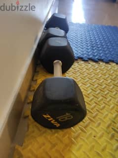 ZIVA 18 kg dumbbell pair in new condition