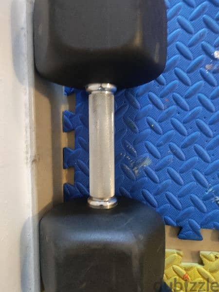 ZIVA 18 kg dumbbell pair in new condition 2