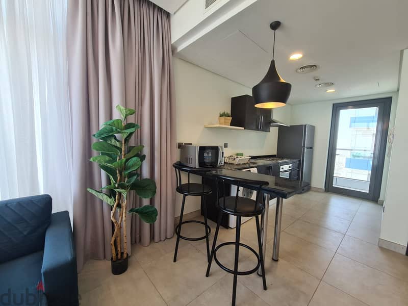 Brand New Apartment | Huge balcony | Bright & sunny | peaceful Locatio 3