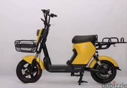 JY 018 Electric DELIVERY BIKE 0