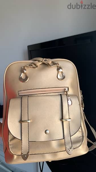 Women’s handbag