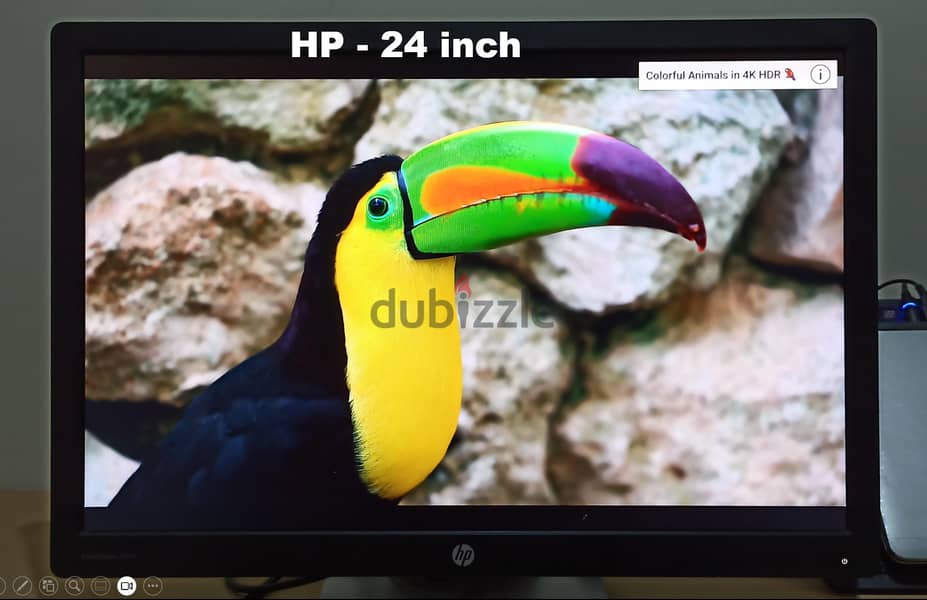 HP EliteDisplay E242 24-inch IPS LED Monitor for Sale 6