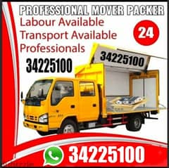 Furniture Mover Packer Loading unloading  Carpenter Moving Service 24H