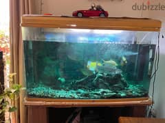 FISH TANK FOR SALE 0