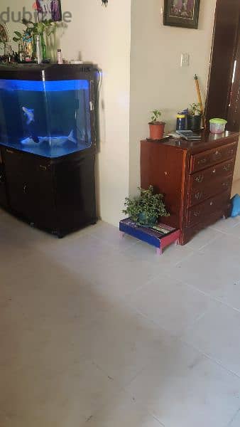 aquariam sale 0