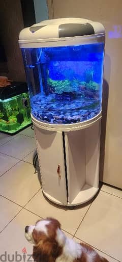 aquarium with stand hood as new for 35bd