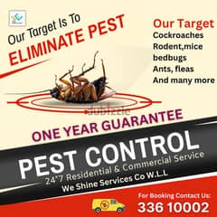 Pest control services in Bahrain 24/7
