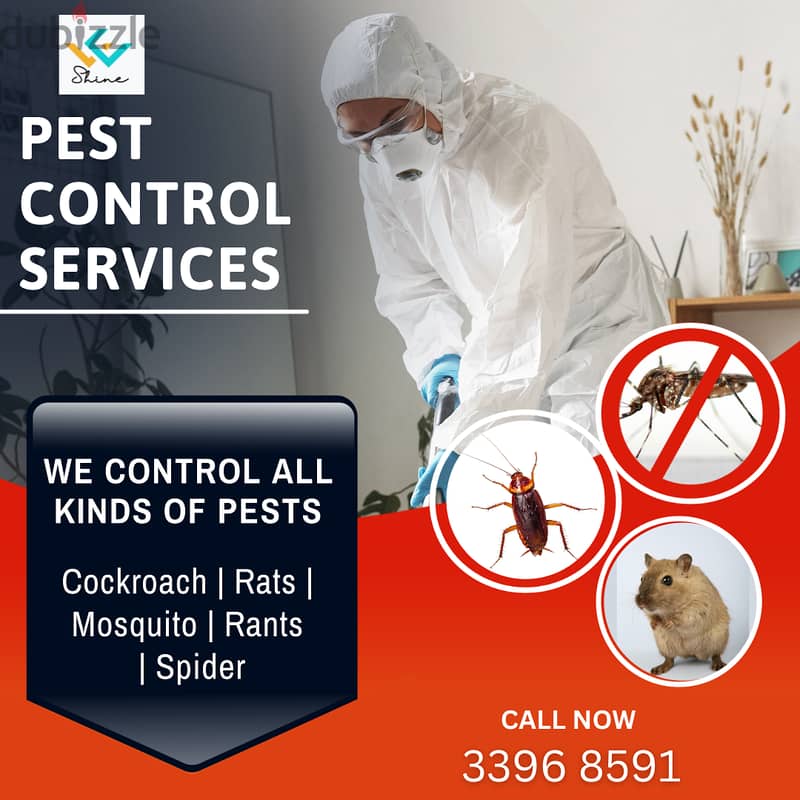 Pest control services in Bahrain 24/7 1