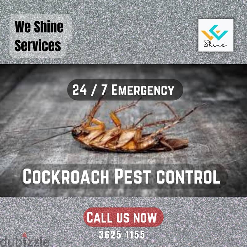 Pest control services in Bahrain 24/7 4