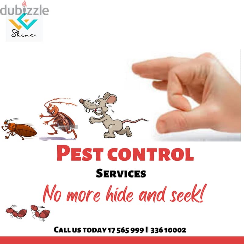 Pest control services in Bahrain 24/7 7