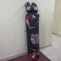 cont(36216143) Boxing Punching Bag with gloves  In good condition
