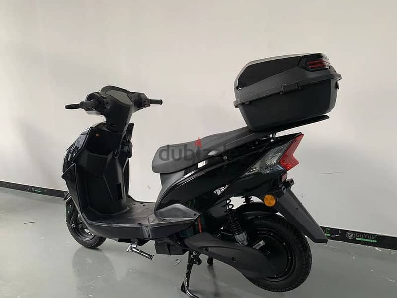 2 seated Electric Scooter 1