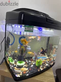 fish tank / Aquarium for sale